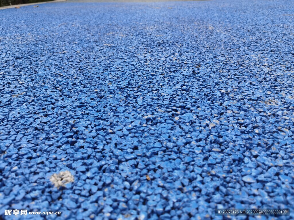 蓝色碎石地面上的蒲公英
