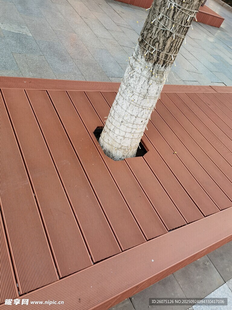木质树池平台景观