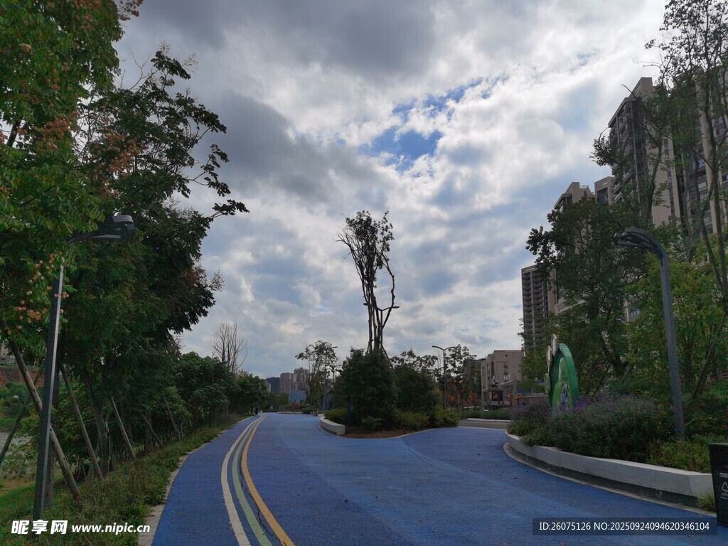 蓝色步道旁的城市绿意景观