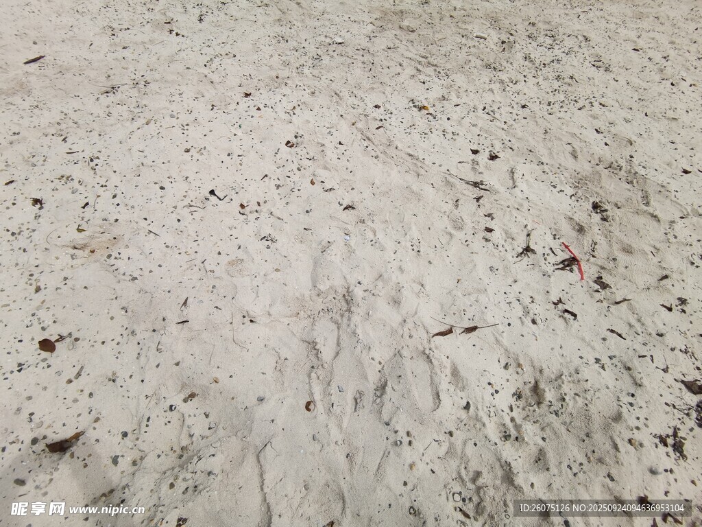 灰白粗糙白沙纹理地面特写