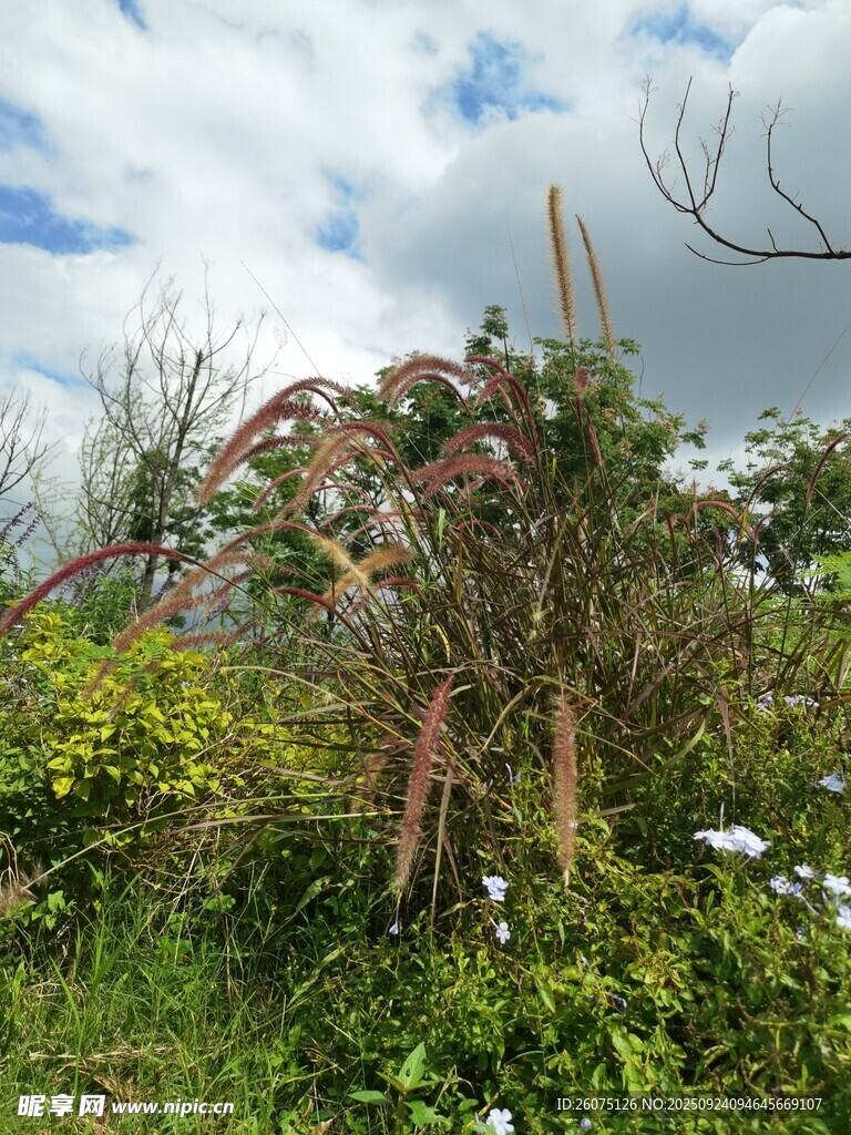 遭破坏的户外场景