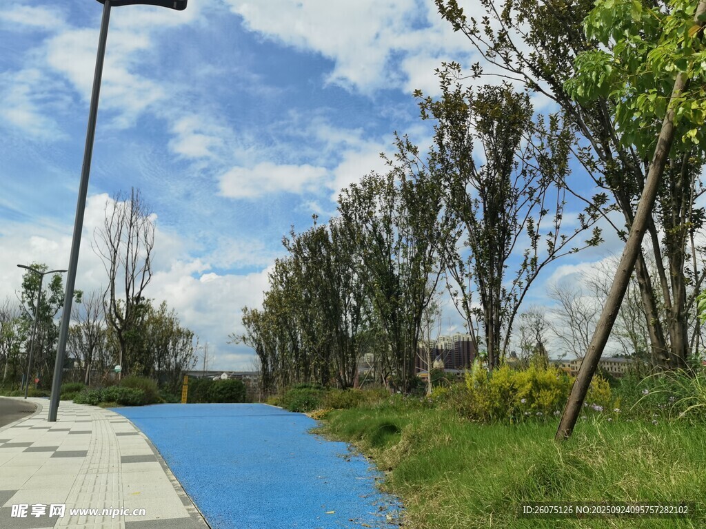 城市中幽静的蓝色步道