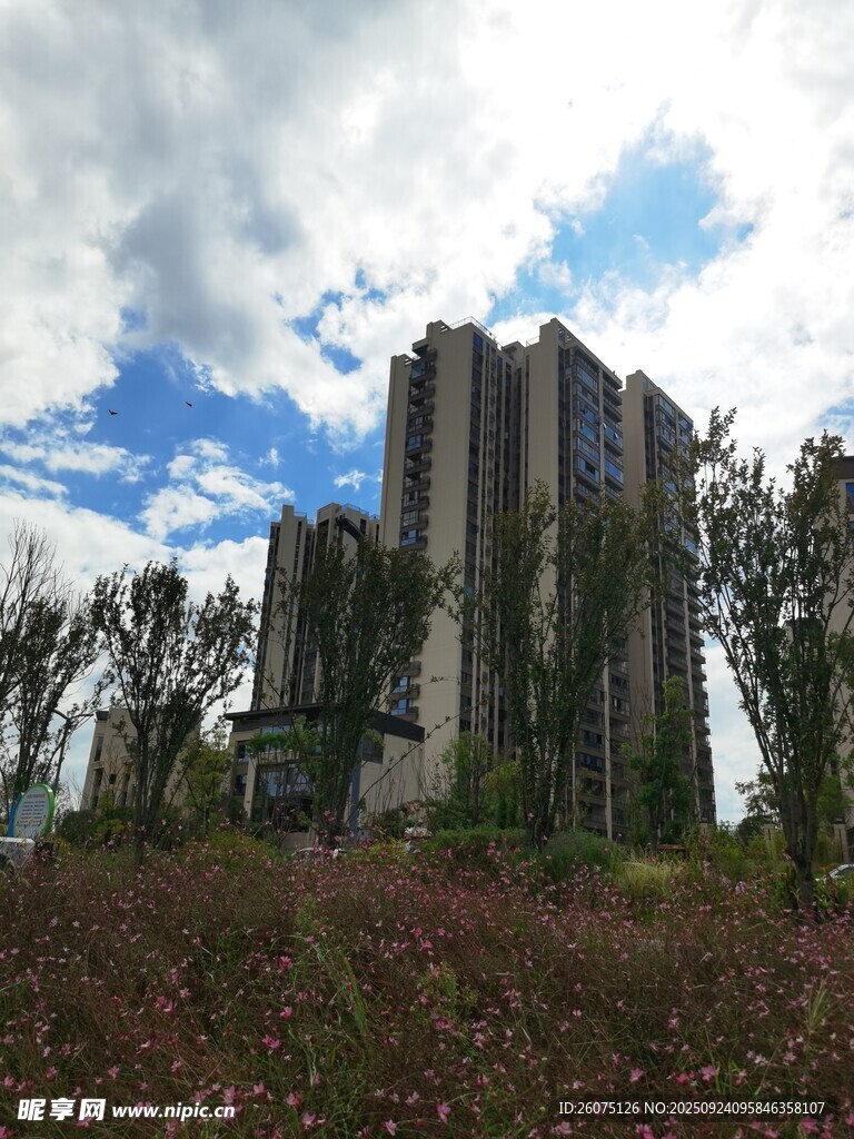 废弃建筑与繁茂植物景观