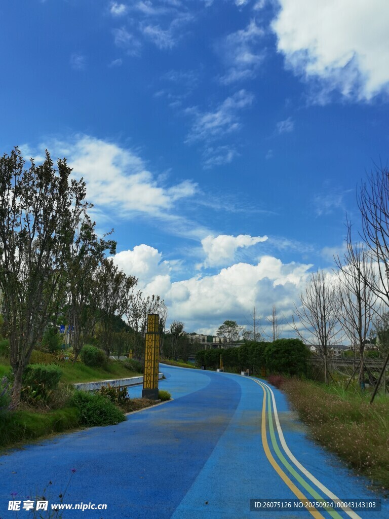 蓝色道路旁的自然风光
