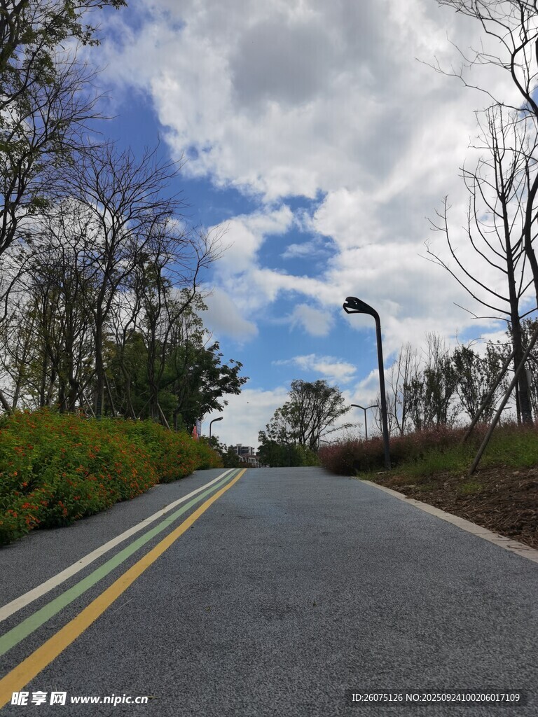 宽阔公路旁绿植与蓝天