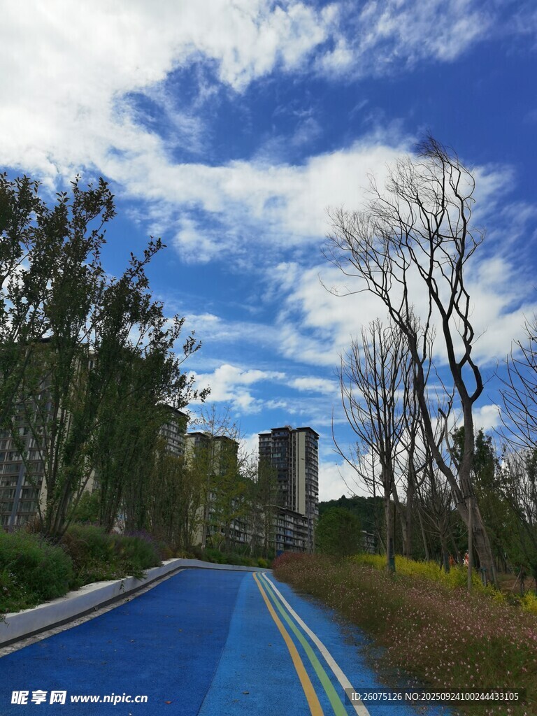 蓝色道路旁的城市风景