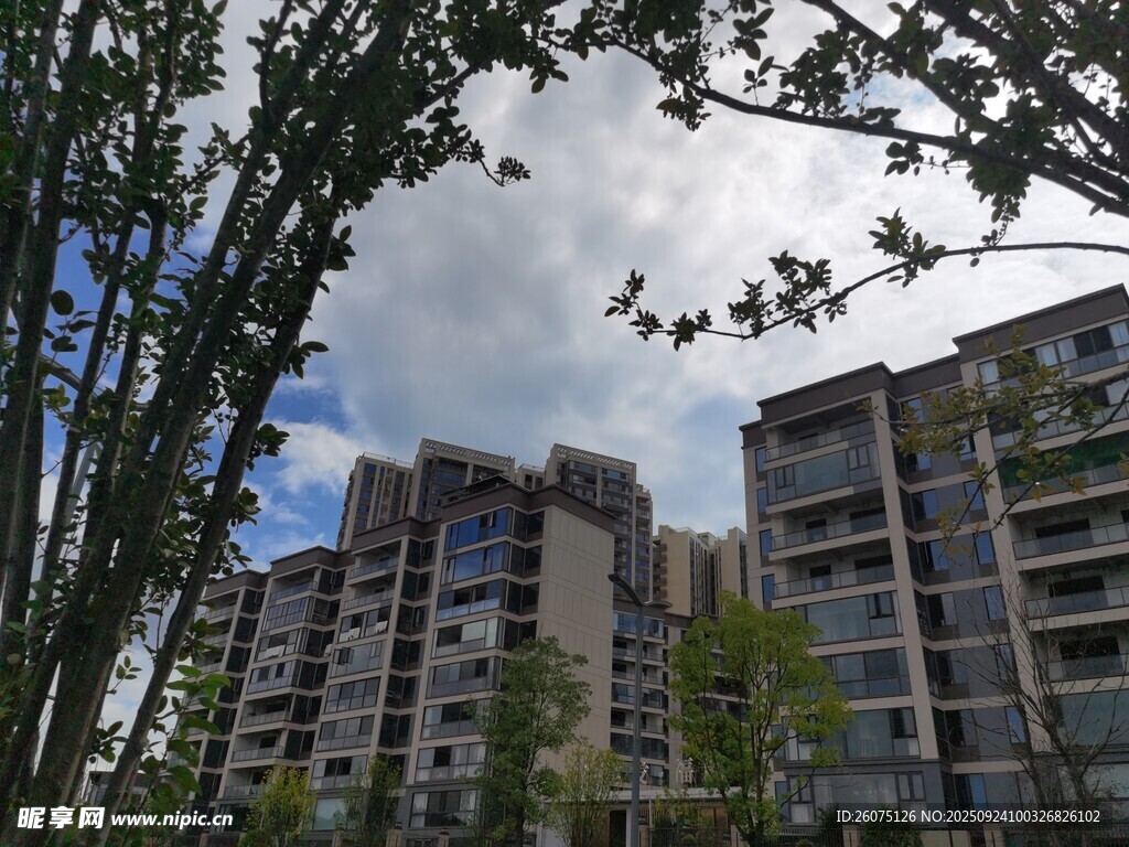 现代高层住宅与绿树景观