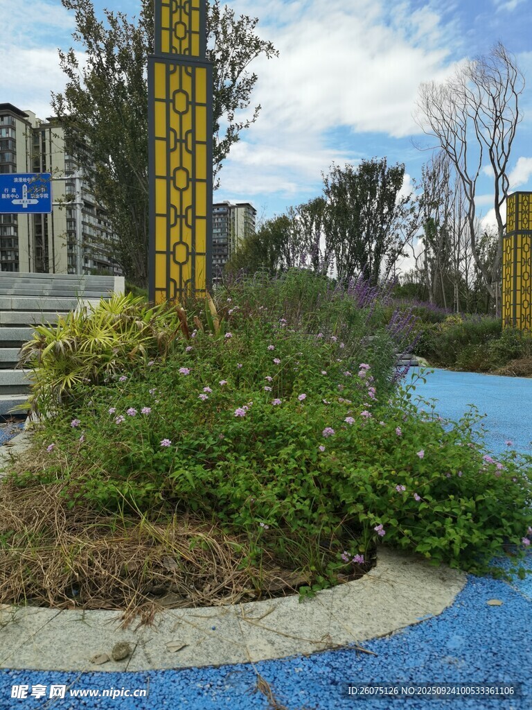 城市路边绿植景观