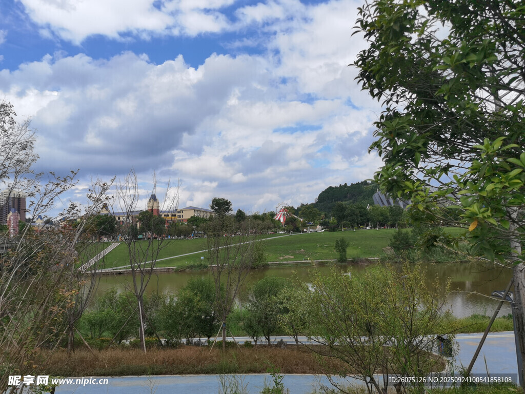 湖畔绿意风景