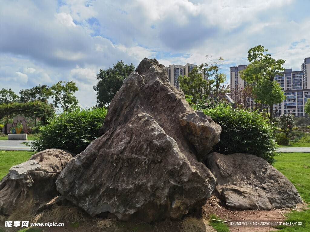 园林景观中的巨石绿植