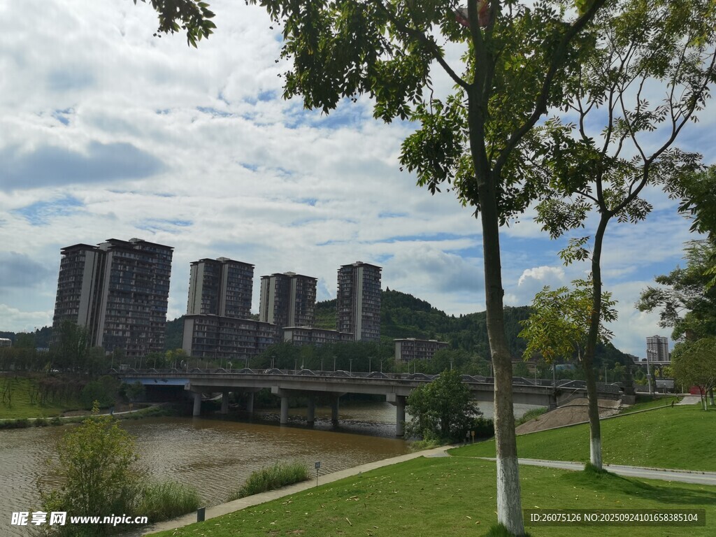 河畔城市风光与绿树景致