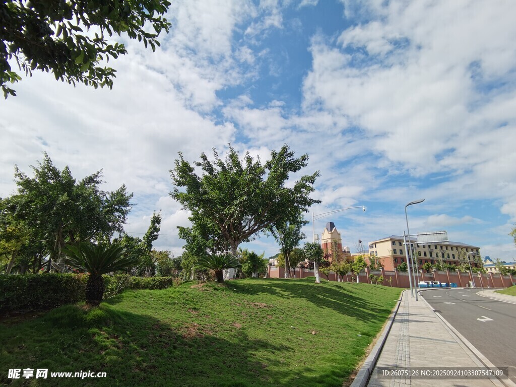 城市路边绿意盎然风景