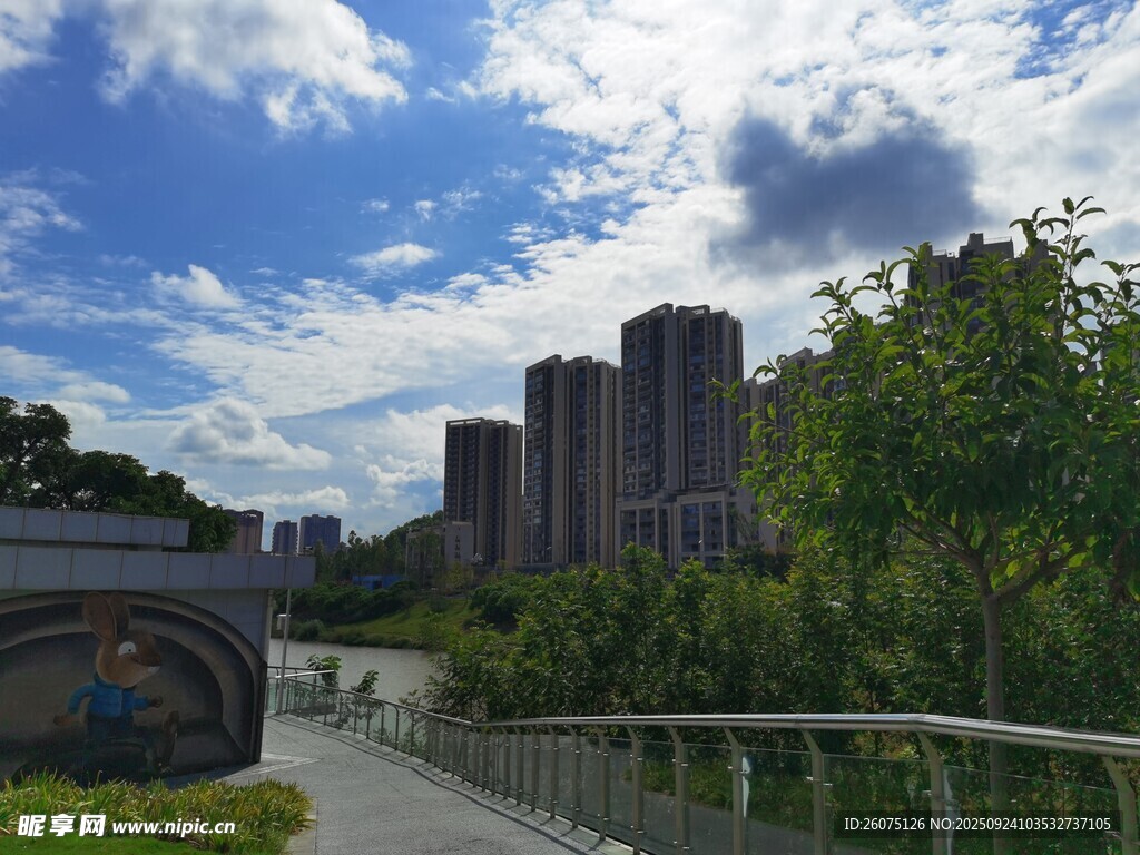 河畔高楼与葱郁绿植景观
