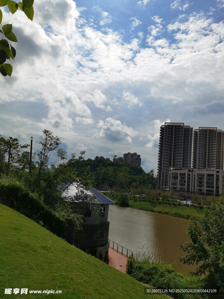 河畔城市风光绿意盎然