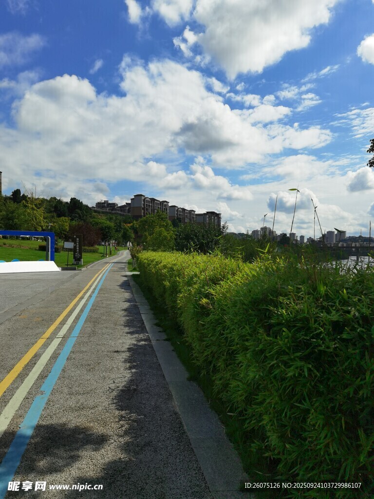 公路旁绿意盎然的风景