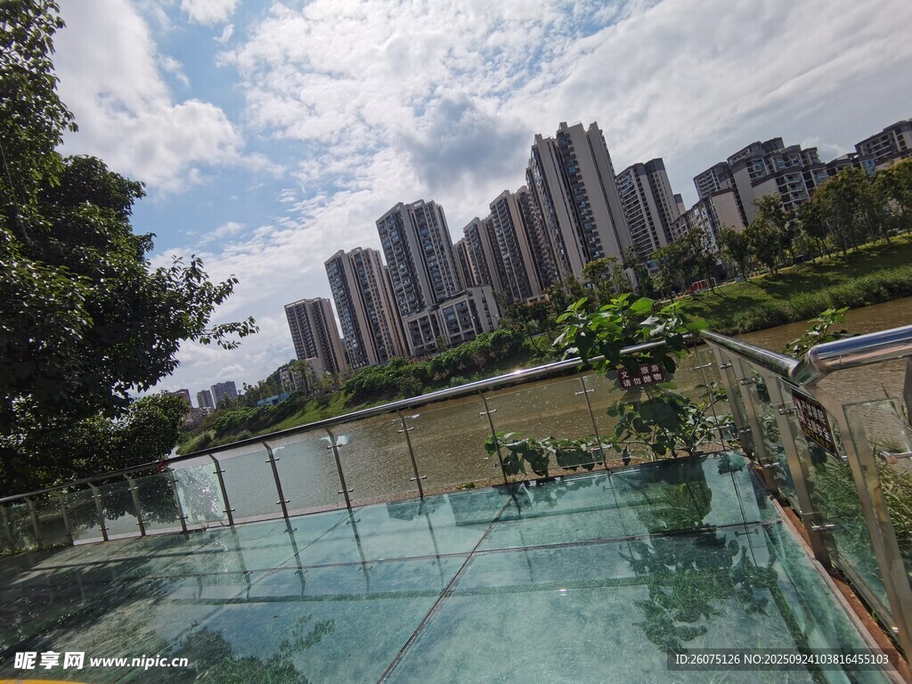 城市中带绿植的玻璃露台