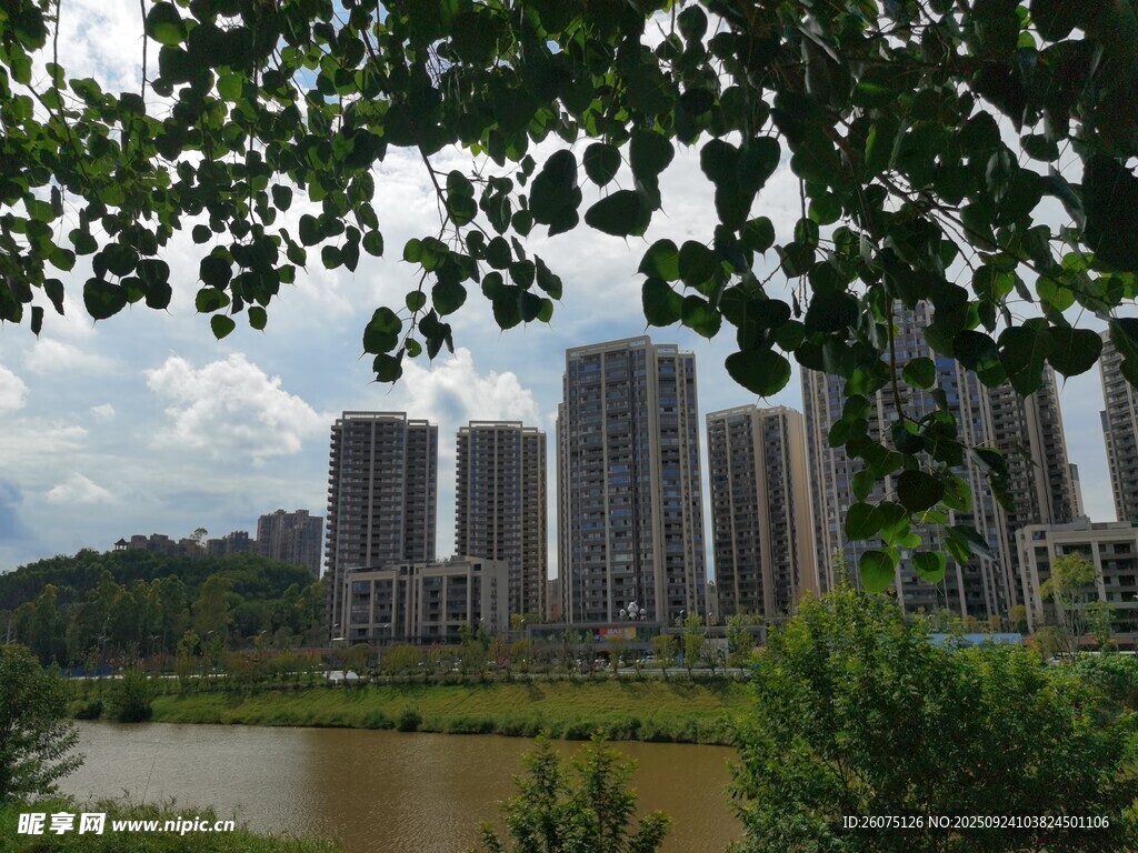 湖畔绿植映衬下的城市高楼