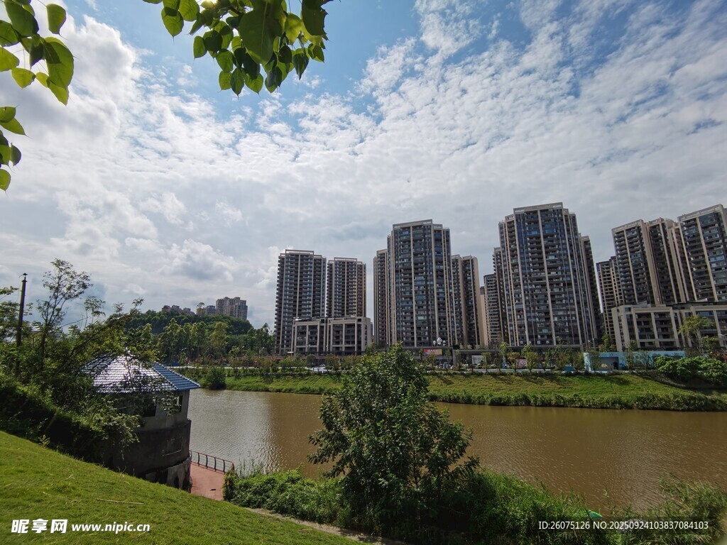 河畔高楼与绿意景观