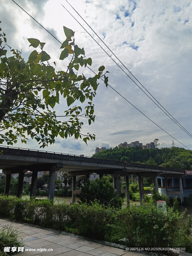 户外长廊旁绿植与电线景观