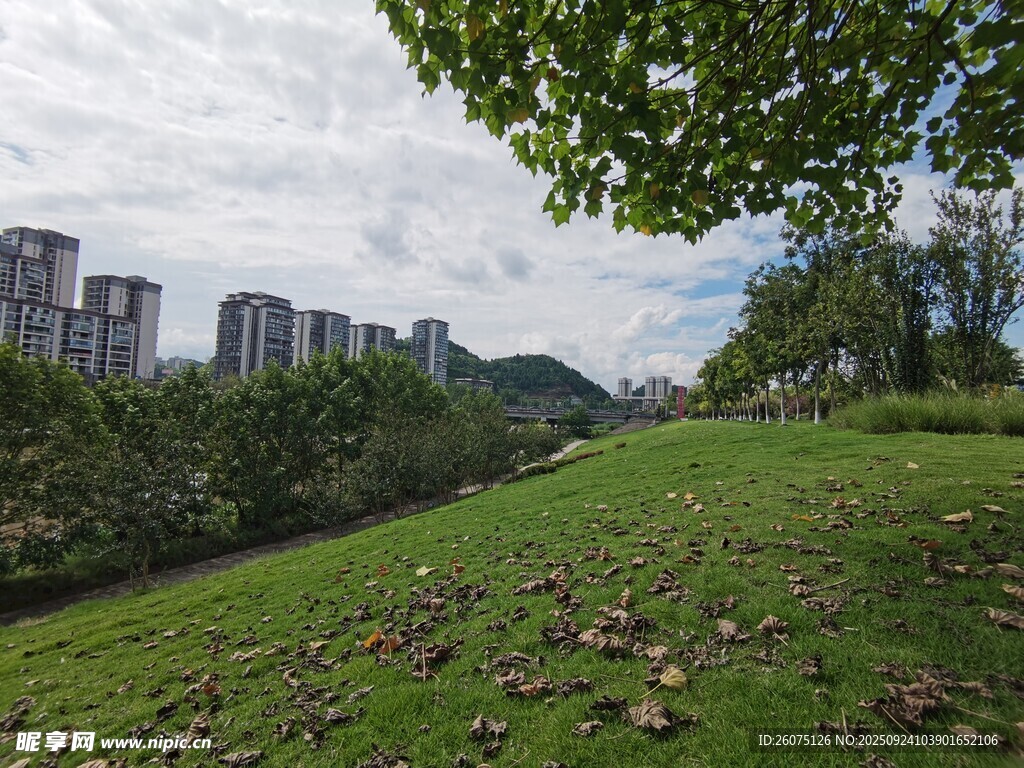 城市中的绿意盎然草地