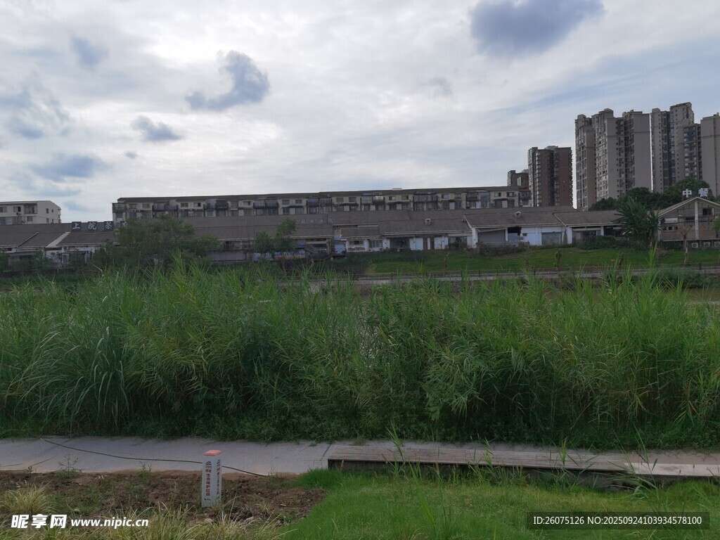 城郊绿地旁的高楼建筑群