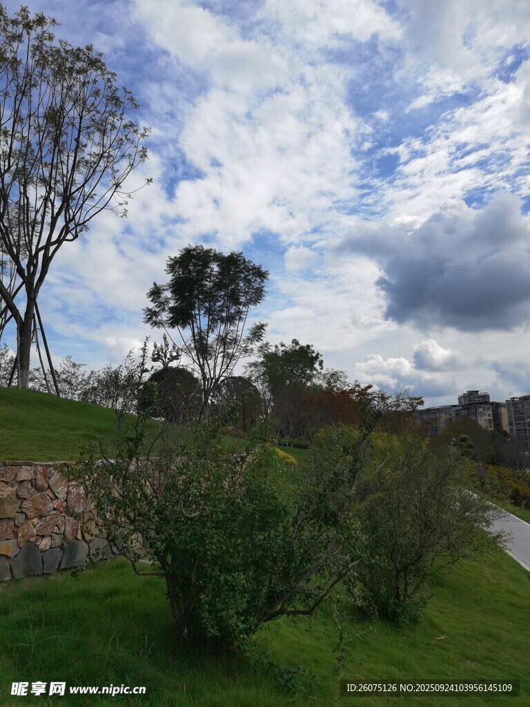 郊外绿意盎然的自然景致