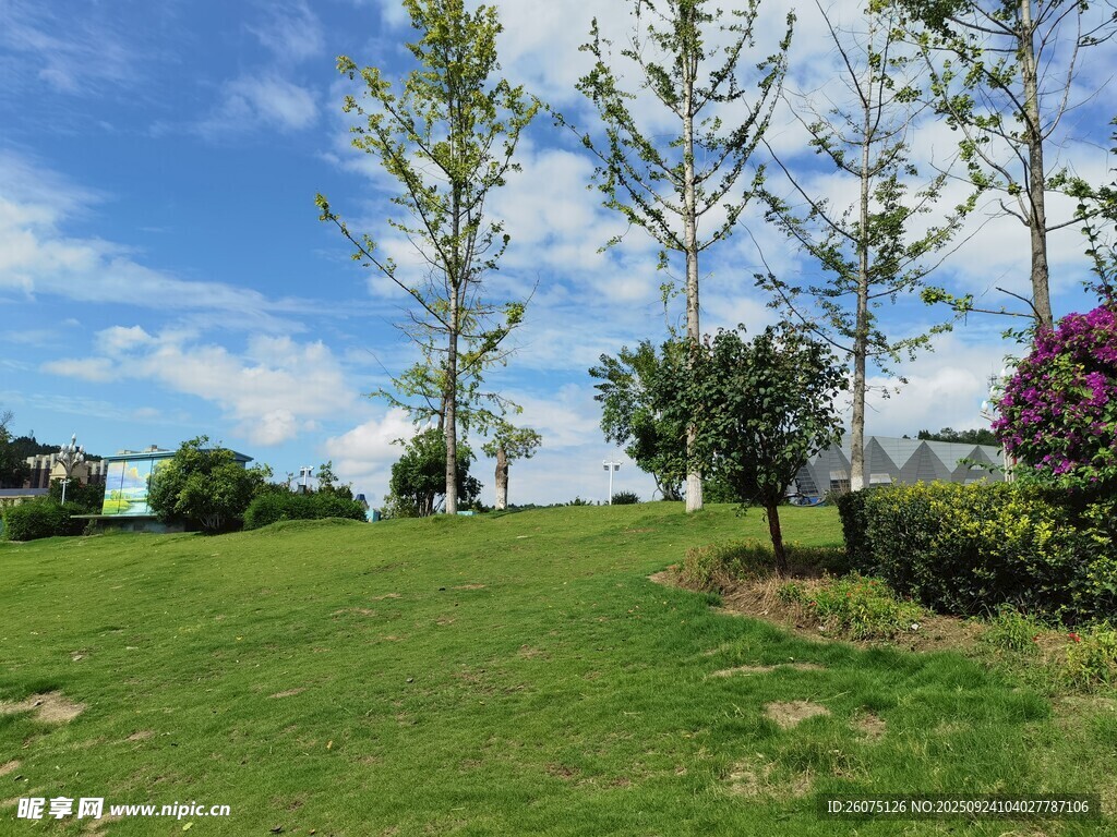 美丽户外草坪风景