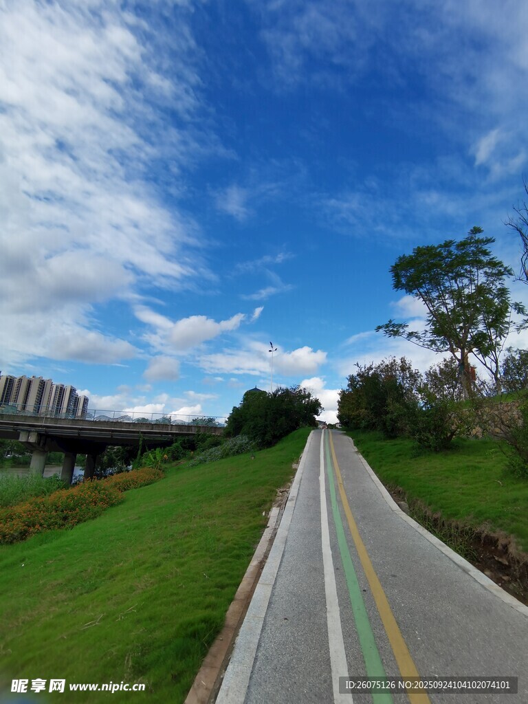 乡村公路蓝天白云绿意浓