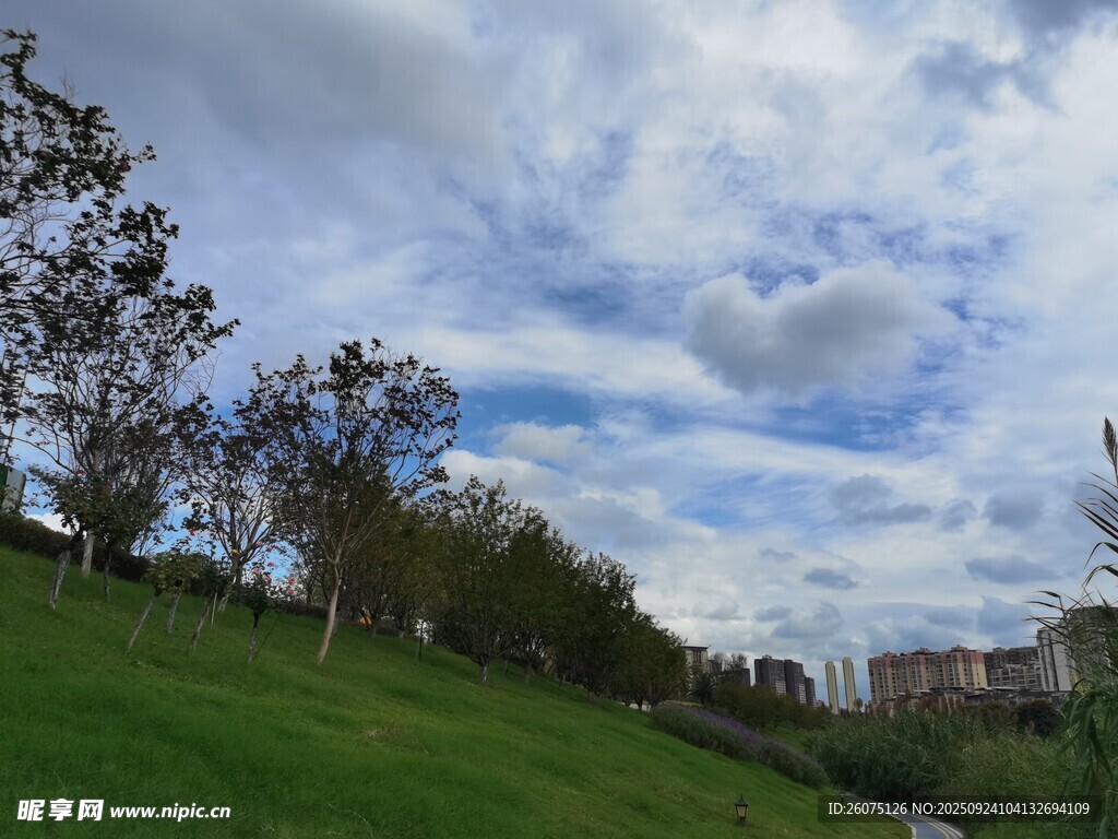 绿草如茵的户外风景