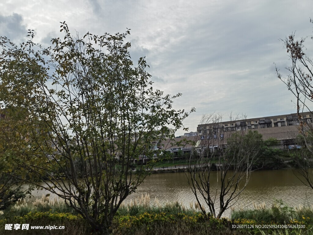 河畔绿植环绕的建筑景观