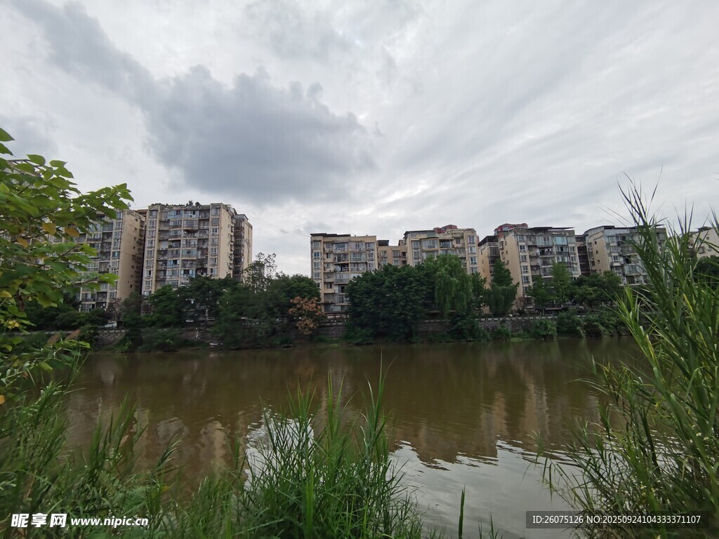 湖畔城市景观绿树环绕