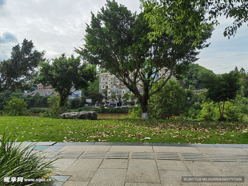 城市中的静谧绿植景观