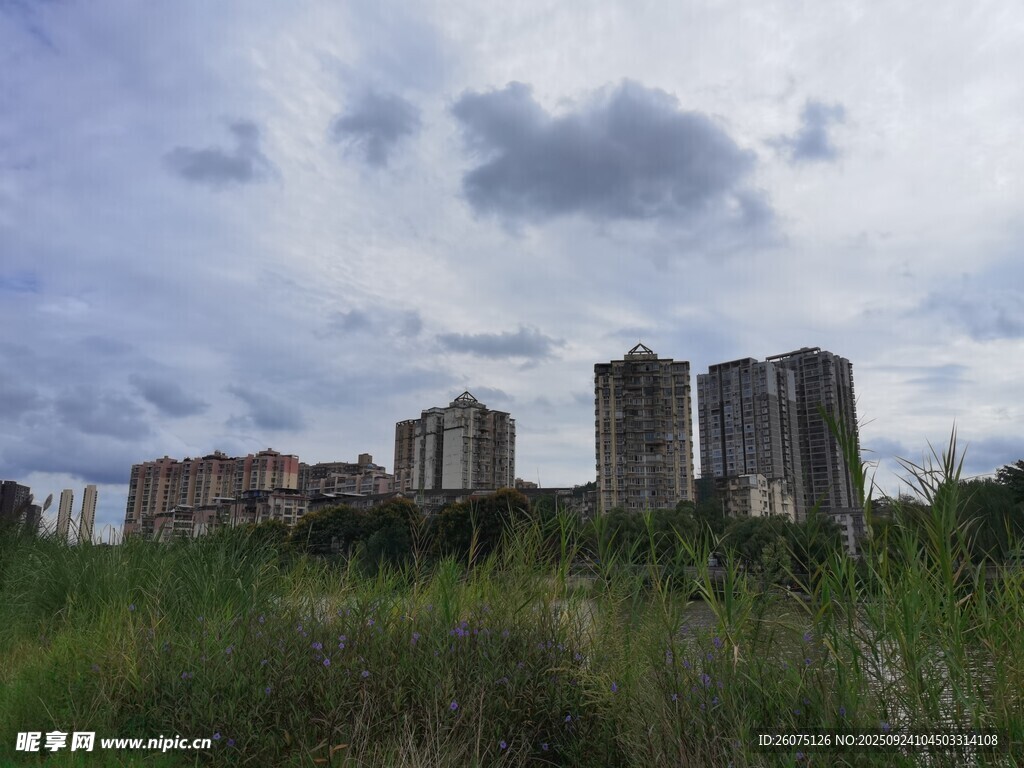 荒废草地旁的高楼建筑