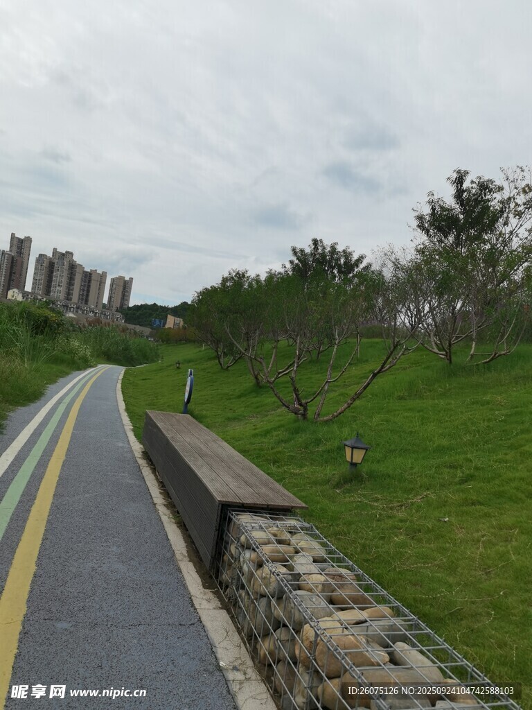 城市中的宁静林荫步道
