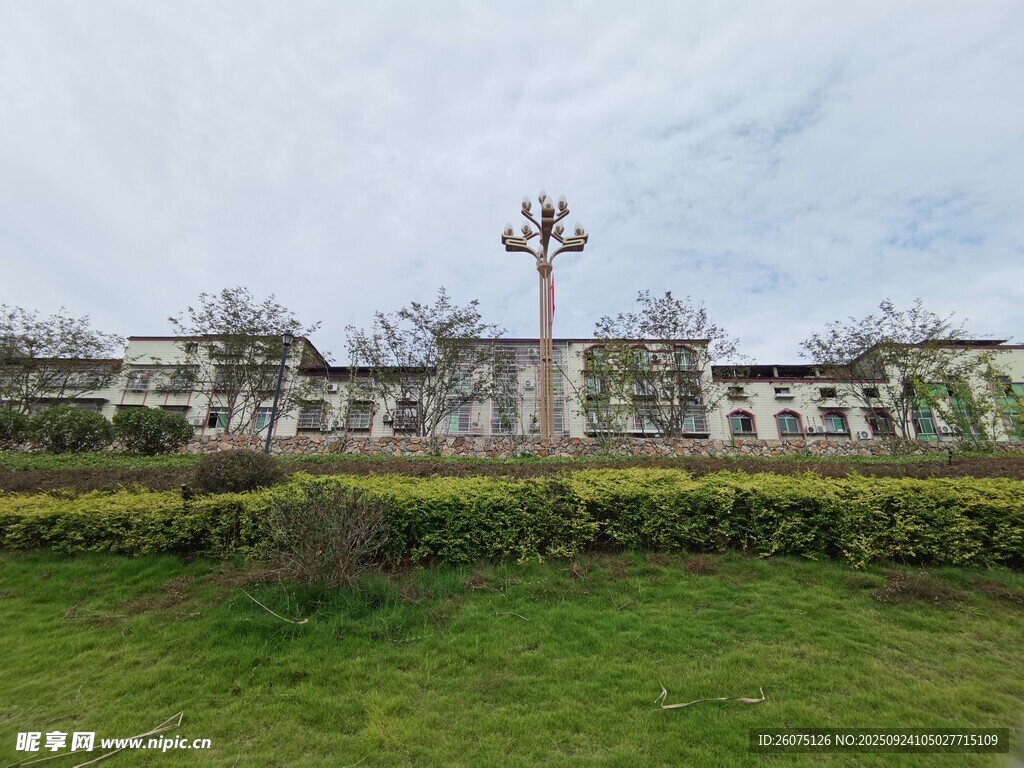 校园前的绿植与建筑景观