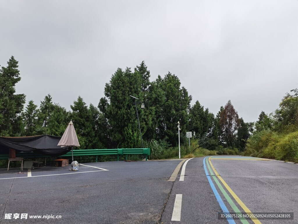 空旷道路与周边绿树景观