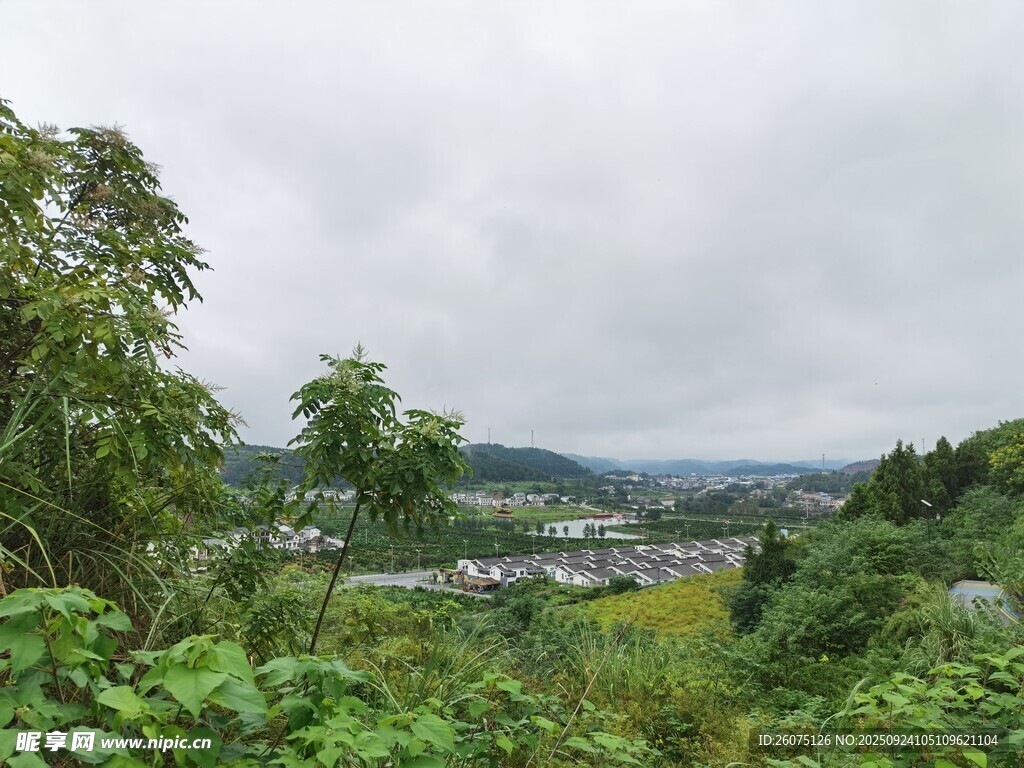 山间绿野乡村景致