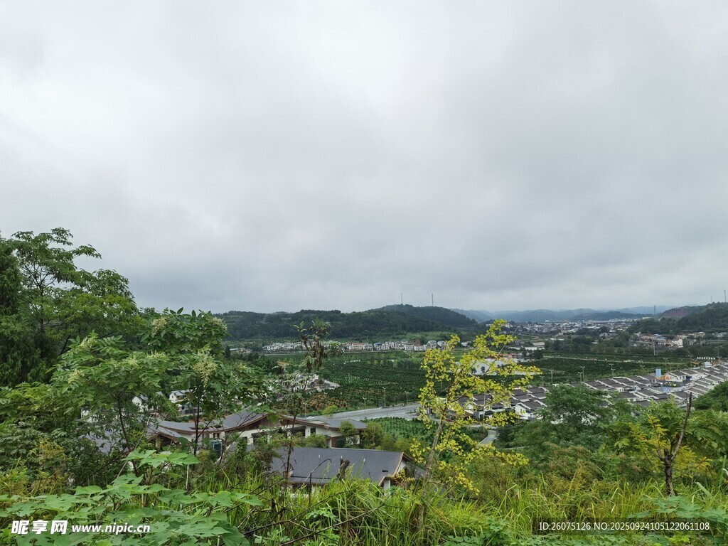 山间绿意景观