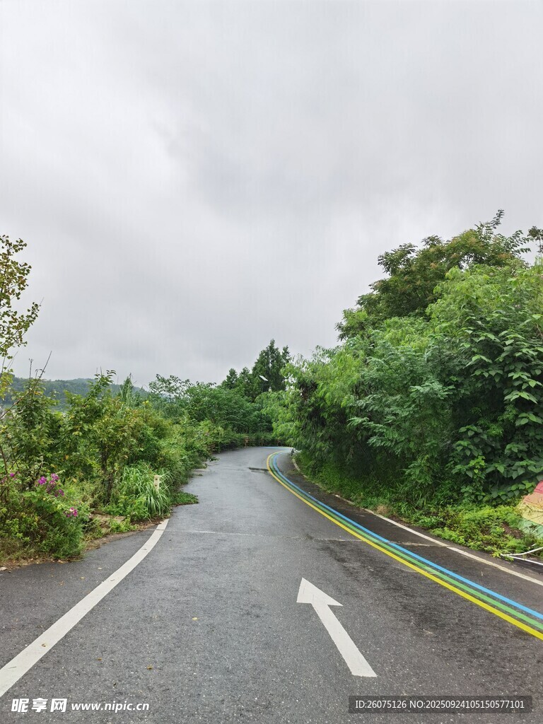 蜿蜒山间公路绿意盎然