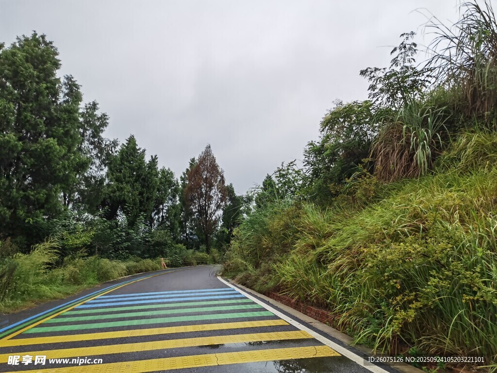 彩色公路旁的葱郁植被