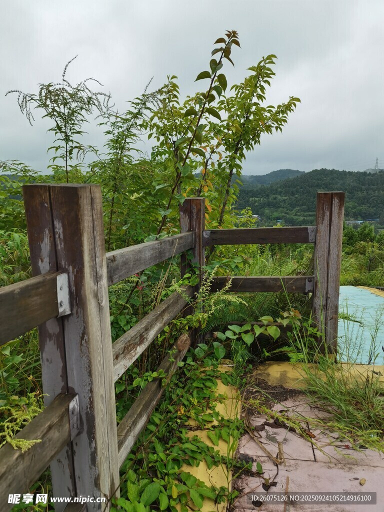 乡村木栅栏边的自然景致