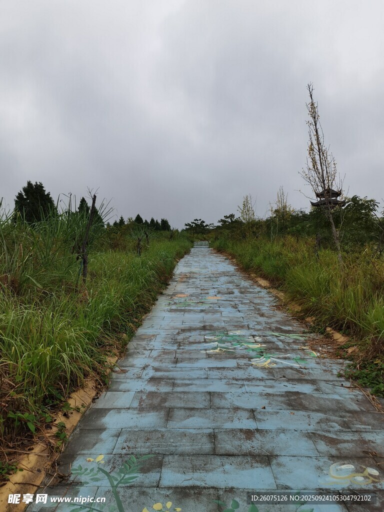 雨中乡间石板路