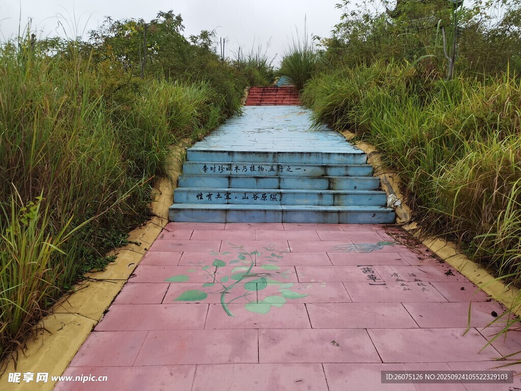 彩色步道穿梭于绿植间