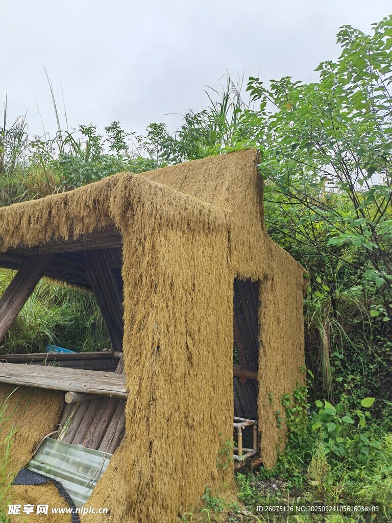 乡村稻草搭建的简易小屋