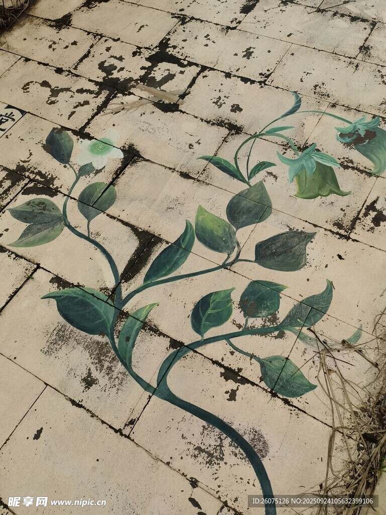砖缝中生长的翠绿植物