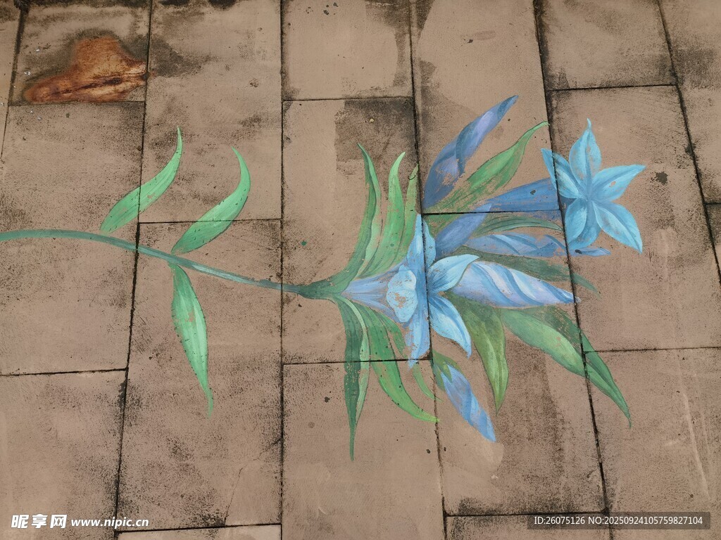地面手绘蓝色花朵图案