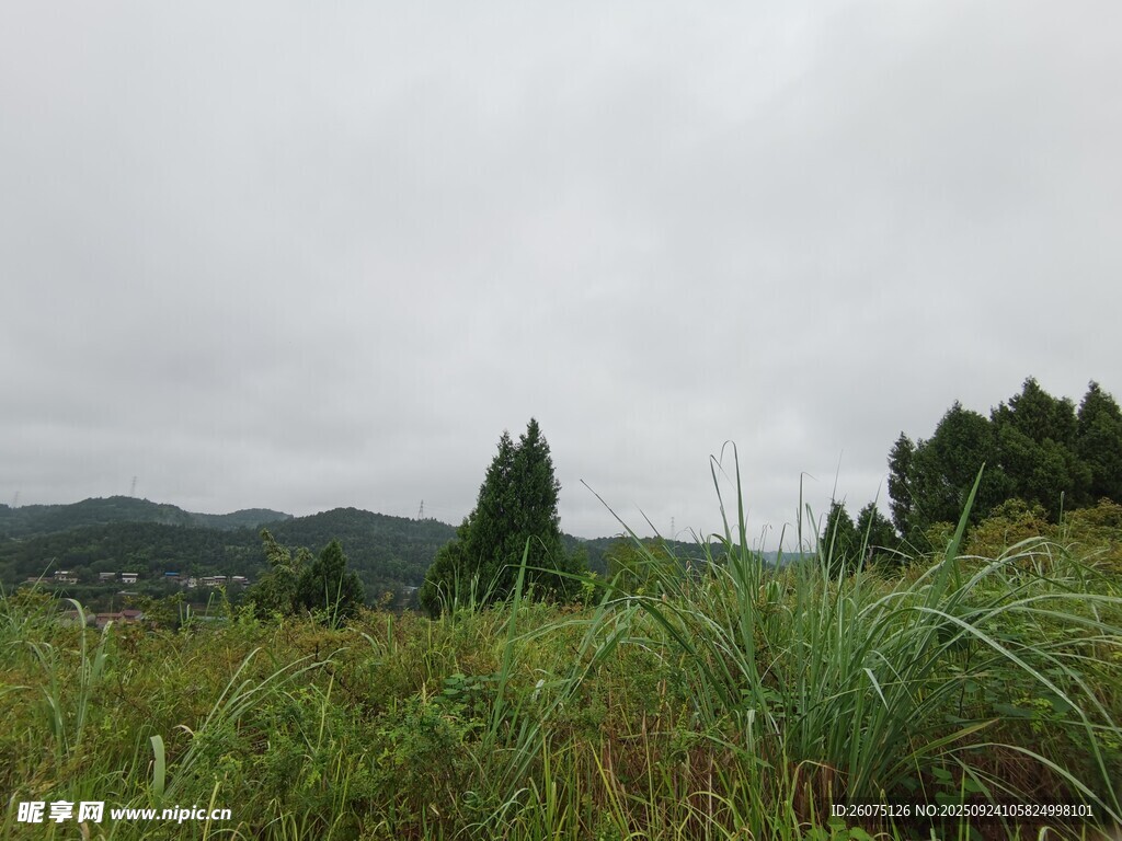 山间草地绿意景致