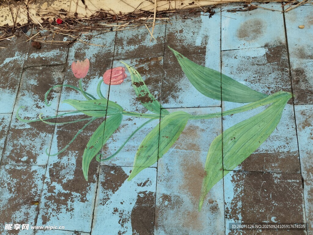 斑驳墙面上的手绘花卉
