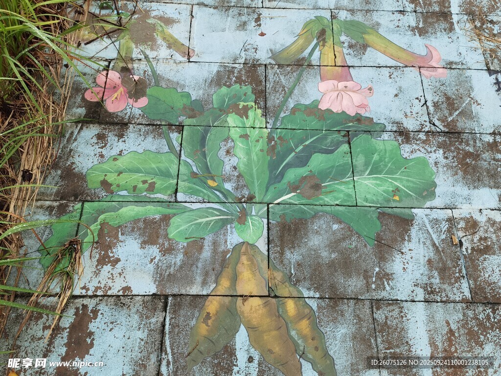 地面花卉彩绘艺术作品