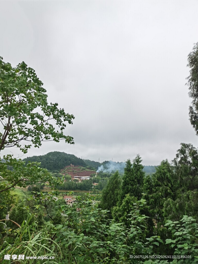 山林绿意景观